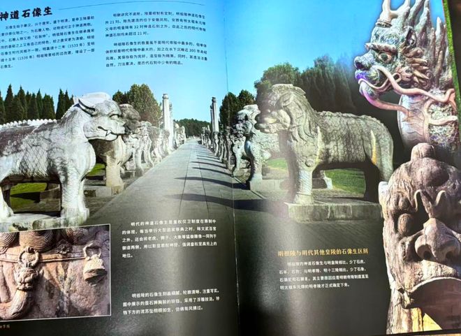 的真相都在这本“”里了！开元棋牌《盗墓笔记》没写(图25)