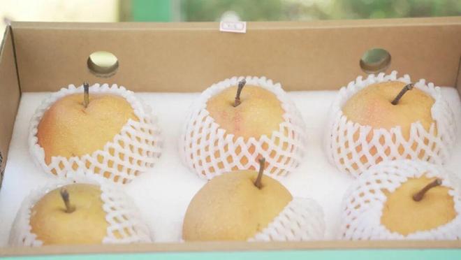 农特产品文化展示暨惠民消费系列活动开元棋牌app消费协作 杨浦区举办(图3)